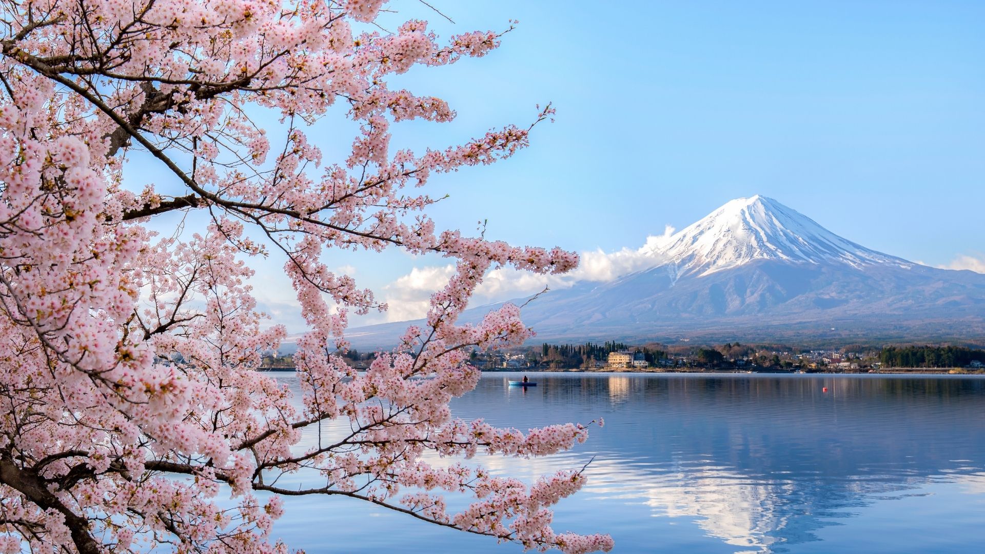 Japon