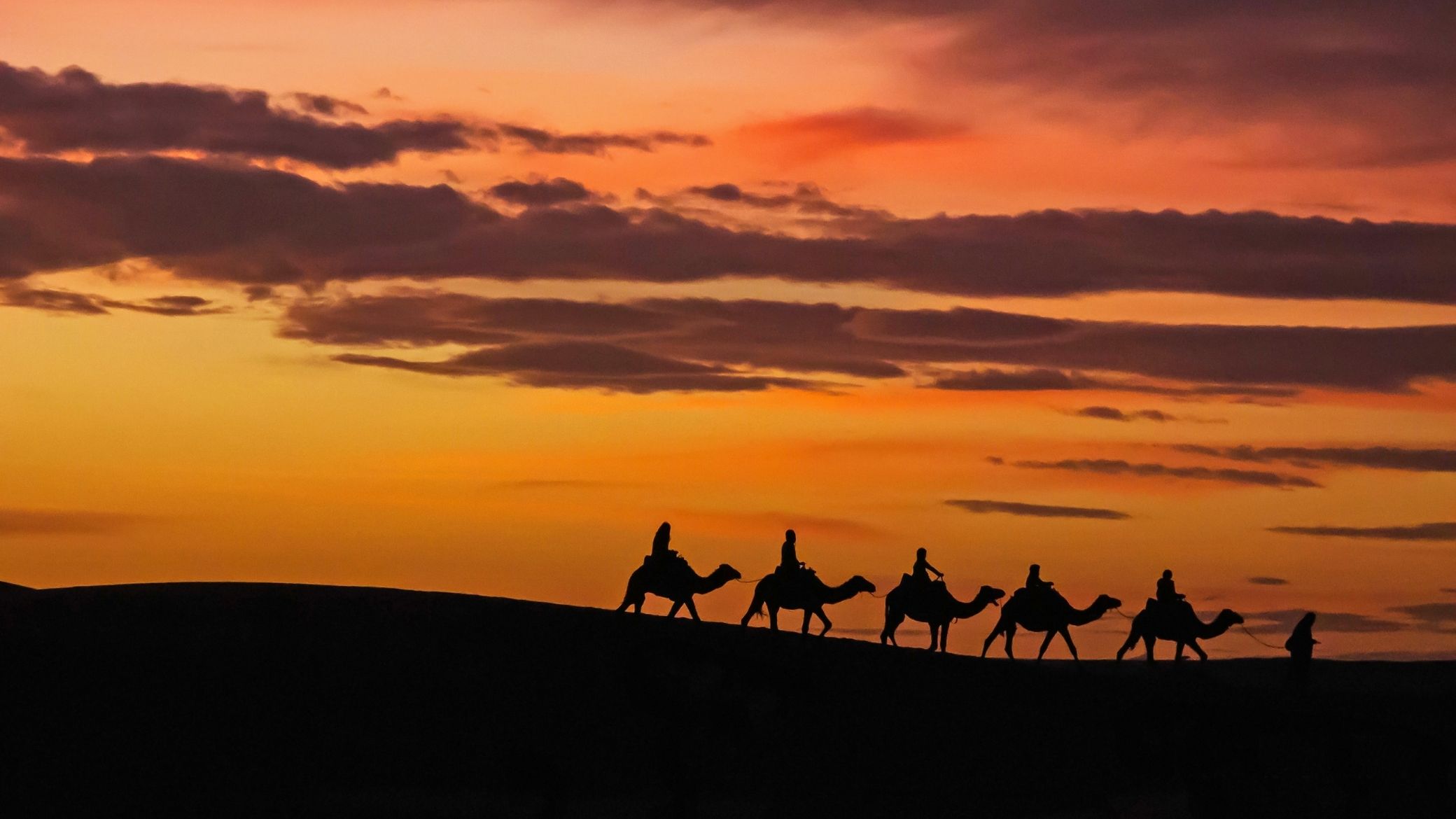 Caravane de chameaux dans le désert marocain au coucher de soleil, près de Merzouga