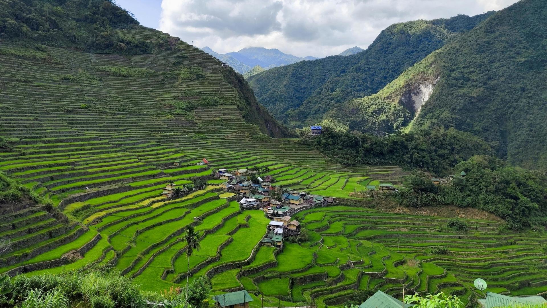 Os terraços de arroz de Banaue nas montanhas da Cordilheira, nas Filipinas