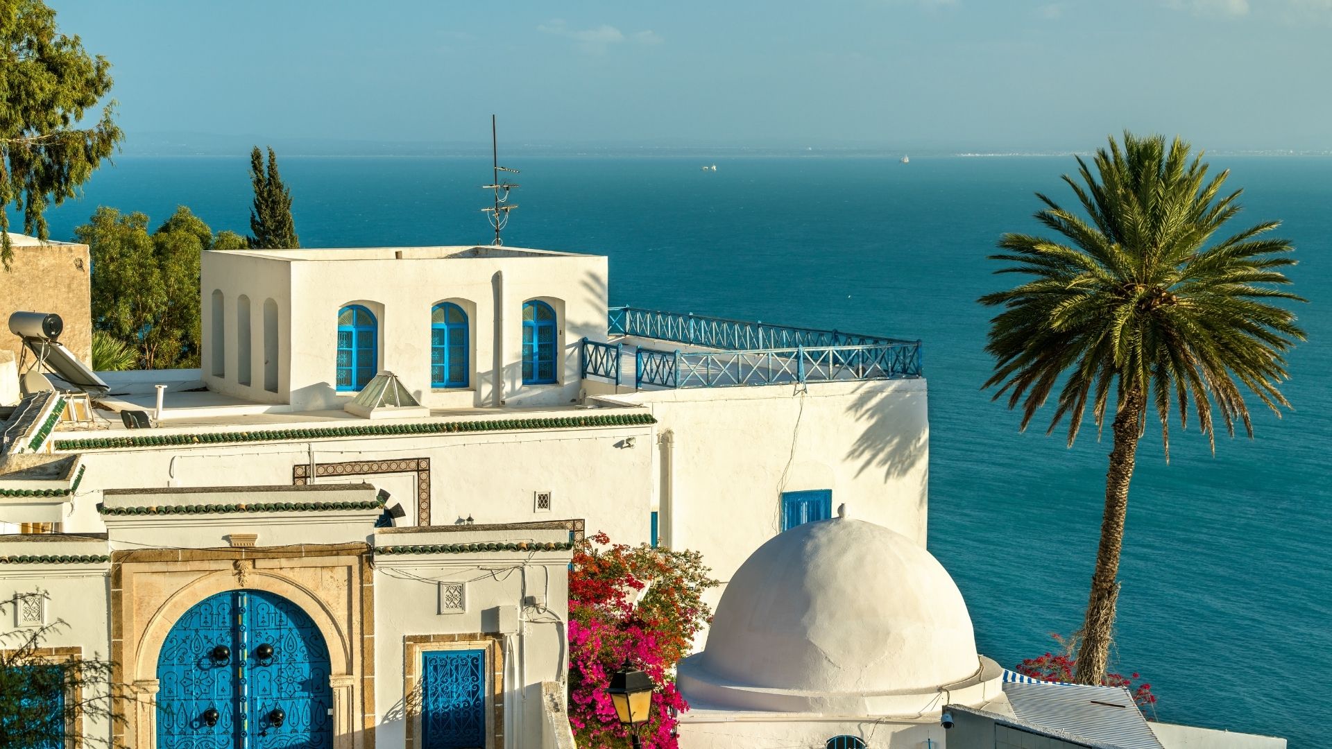 The white and blue houses of Sidi Bou Said overlooking the sea in Tunisia