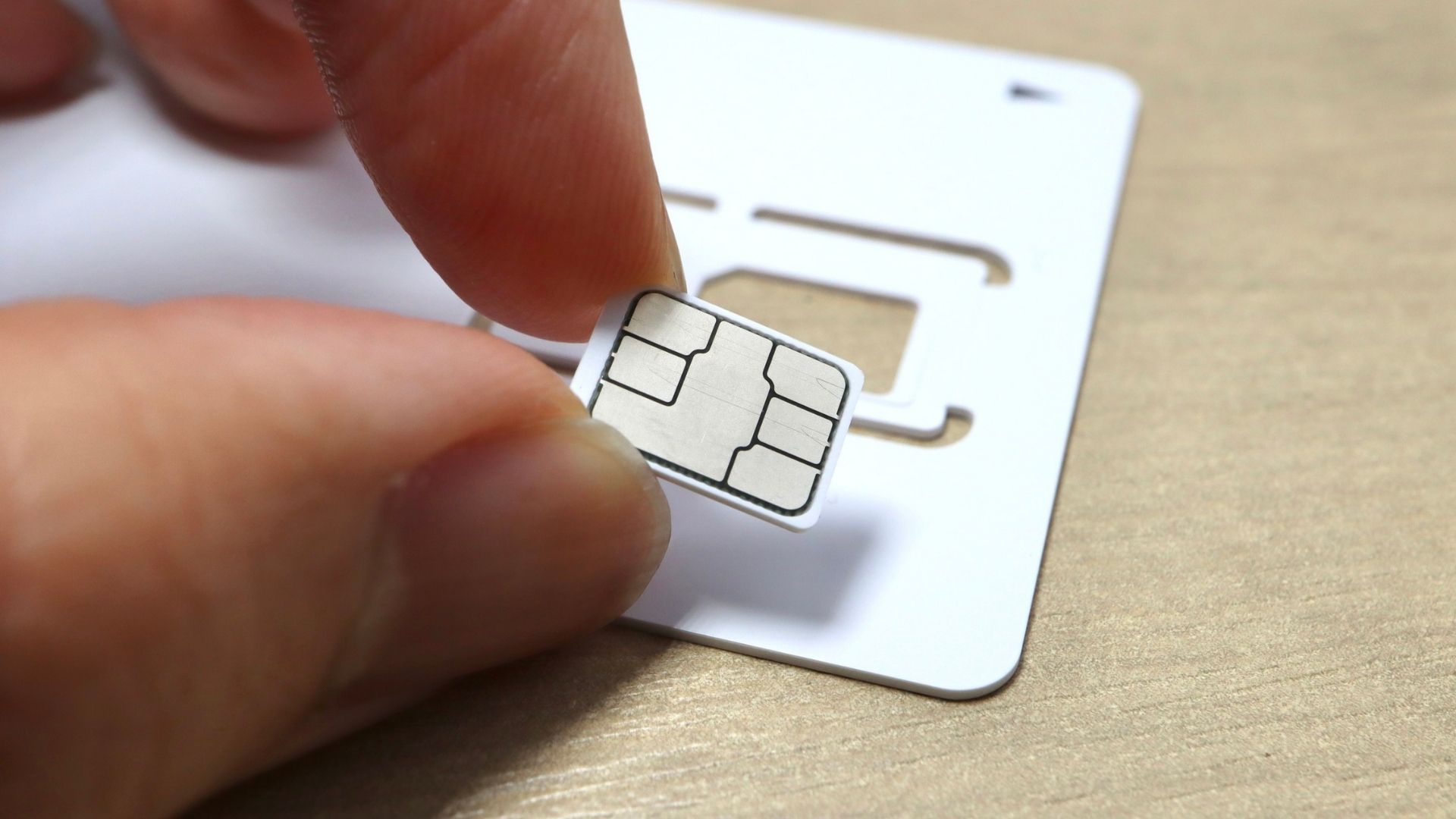 Carte SIM dans son support pré-découpé montrant les différents formats emboîtés